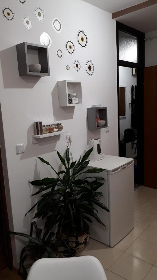 Apartman Panorama Vukovar Extérieur photo